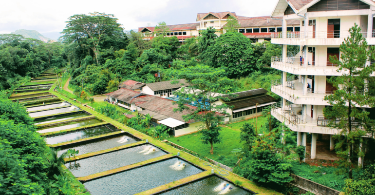 ipb pertanian